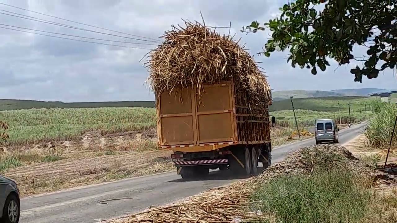 @BCV#CriadorDeConteúdos #carregamentos #deCana.