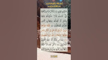 آيات من القرآن الكريم (سورة النمل) بتلاوة تهدئ النفس و تسكن الراحة و الطمأنينة #islamic #quran