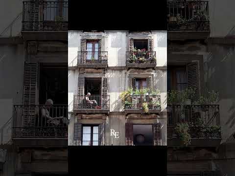 شيل الشيلة بدون موسيقي حمزه نمرة