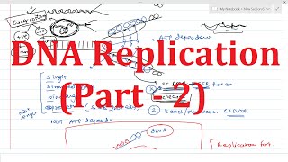 DNA Replication (Part-2) | Replication Fork | Prepriming Complex | DNA Topoisomerases | Drugs