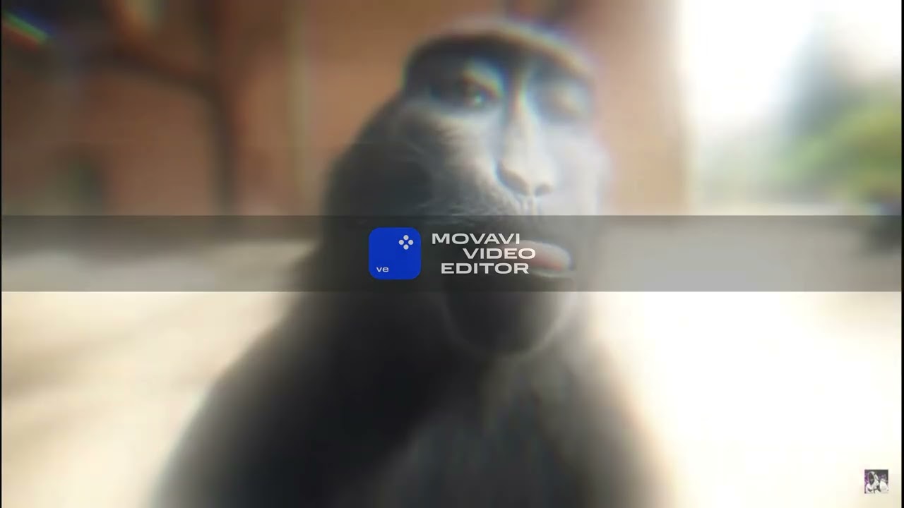 MONKEY4K