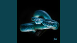 Bouncing Off The Moon