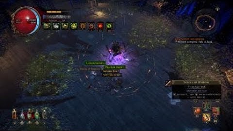 Path of Exile 3.10 - Delirium - Twisted Synthete Boss Fight