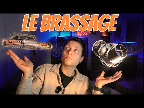 Le BRASSAGE en