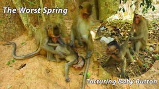 The Worst Monkey Spring Torturing Baby Monkey Button, Button Super Cries Call Mom Help Urgent
