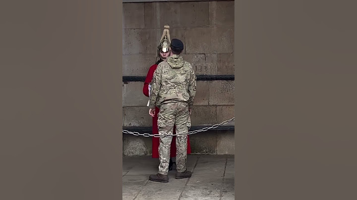 What’s up with this guard? 😵‍💫 #thekingsguard