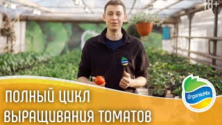 Выращивание томатов - от А до Я / Как вырастить помидоры / Рассада помидор/ Органик Микс