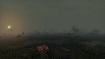 【 STALKER Anomaly】Screen Space Shaders - Update 20
