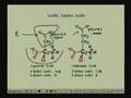 Lecture - 1 Amino Acids I