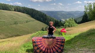 Best of Ben Böhmer, Lane 8, Nora En Pure, Paul Kalkbrenner, Sultan & Shepard @Black forest, Schonach