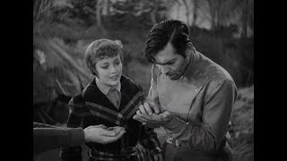 The Call Of The Wild 1935 Clark Gable & Loretta Young