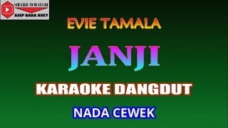 KARAOKE DANGDUT JANJI - EVIE TAMALA (COVER) NADA CEWEK Eminor