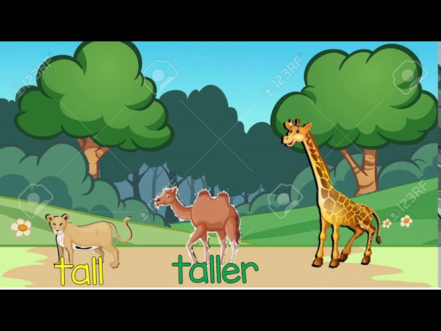 Taller and Shorter & Tallest and Shortest, Comparison for Kids