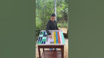 Watch This Perfect Sort – No Undo Needed! 😎 #PuzzleTime