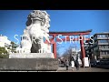 Sights and sounds: Hatsumoude in Kamakura, Japan