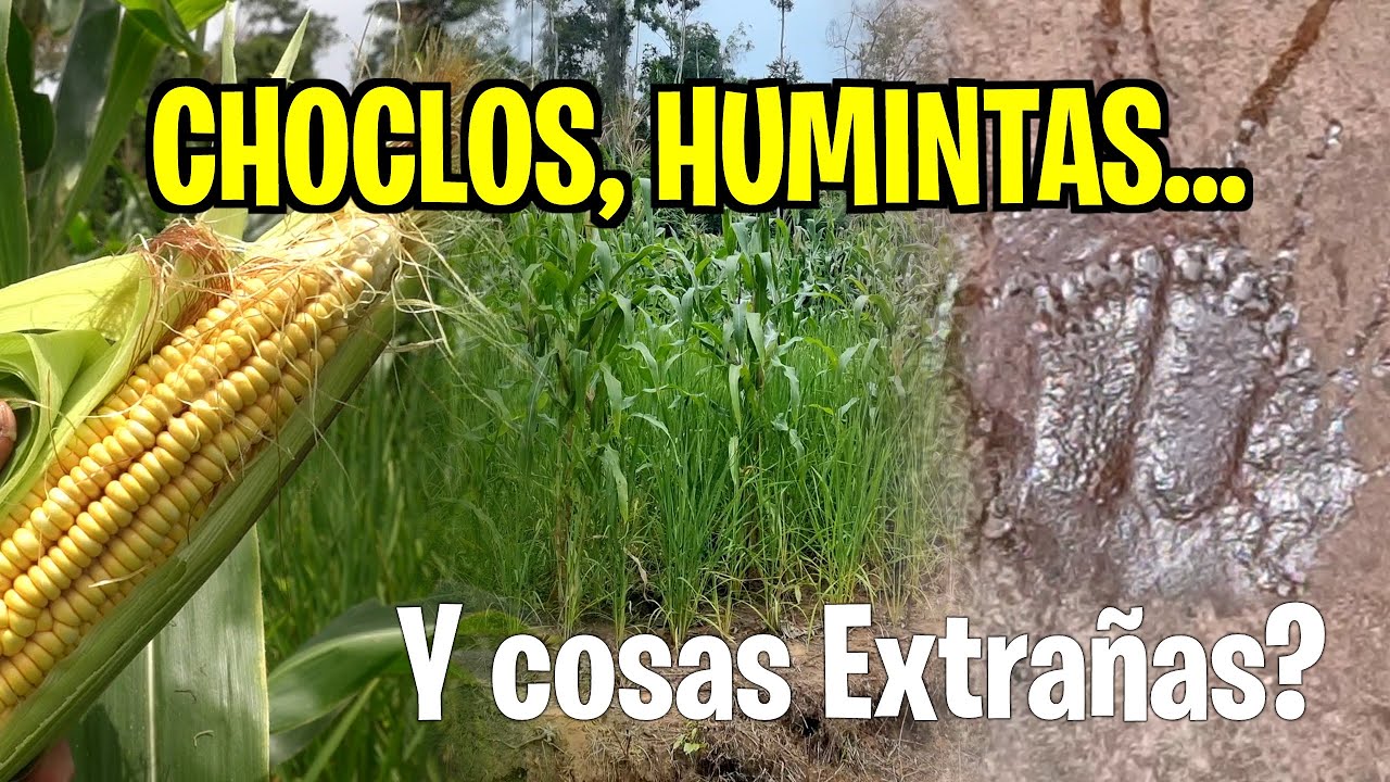 MARZO, MES DE LOS CHOCLOS, HUMINTAS Y AGUAS CRISTALINAS