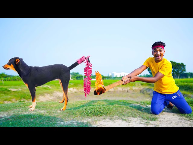 Top New Comedy Video Amazing Funny Video 2025 😂 Try To Not Laugh 2025 Episode 339.doctor funny