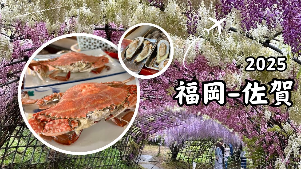 ［九州］福岡 河內藤園🌸～佐賀 竹崎蟹 🦀嬉野溫泉 ♨️祐德稻荷神社⛩️