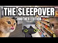Cat memes sleepover compilation ep2