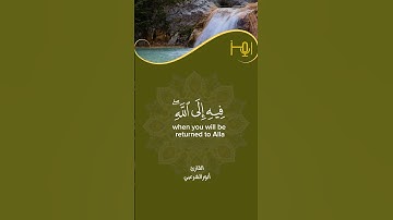 من تلاوات استوديو رمز                    القارئ أنورالشرعبي #قرآن #تلاوات