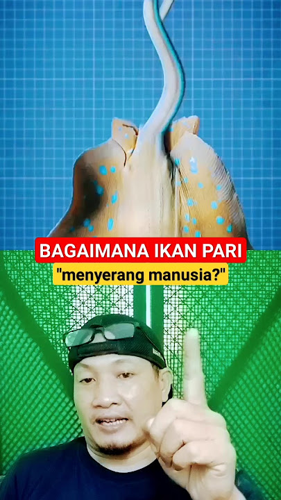 bagaimana ikan pari menyengat? #science #viral #shorts #fyp