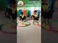 #funbasedlearning #balancing #activities #saturdayvibes #srps #viralvideo