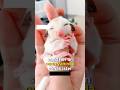 Girl Helps Sugar Glider вќ пёЏ Girl Helps Sugar Glider вќ пёЏ