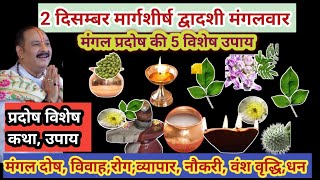 2 दिसंबर मार्गशीर्ष शुक्ल पक्ष अनंग त्रयोदशी | भौंम प्रदोष 5 उपाय |विवाह,वंश,नौकरी ,मंगल दोष निवारण 