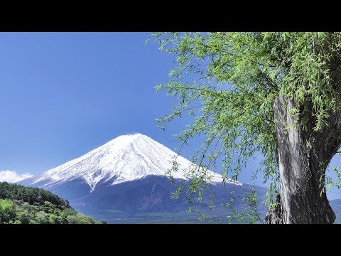 富士山15 hqdefault.jpg