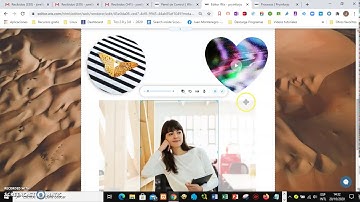 Segunda parte agregar elementos a la página de wix