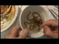 3D Goldfish ART Octopus Painting