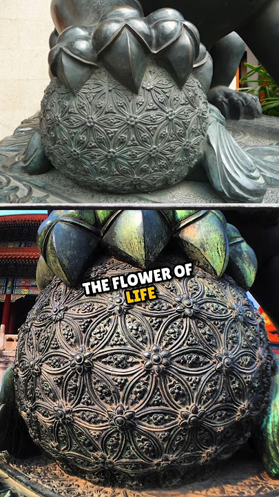 The Flower of Life - Ancient Sacred Geometry Explained #shorts