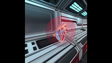 VR Heart Demo