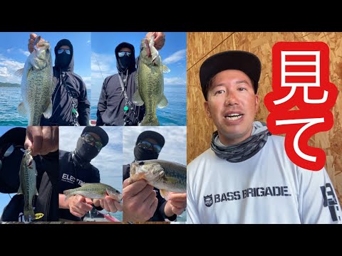 ⚪︎⚪︎多く持ってきてください【琵琶湖バス釣り情報】【なすび】
