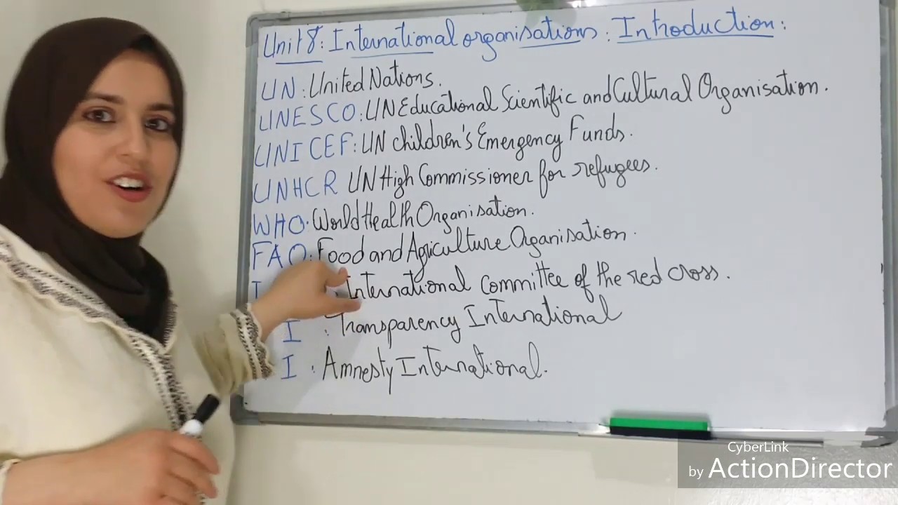 Unit 8: International organisations: introduction ,vocabulary+ collocations