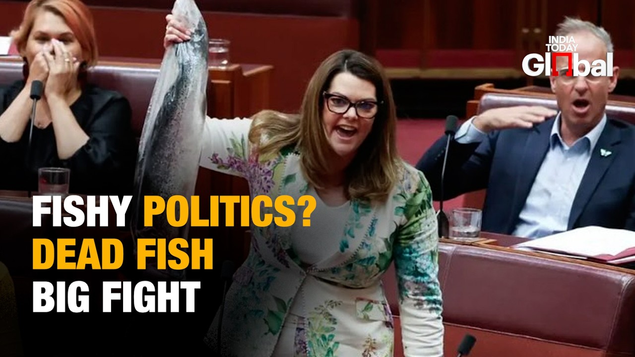 Dead Fish Drama: Australian Senator Waves Salmon | Controversial Salmon ...