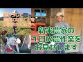 【新規就農】脱サラした新米農家の一日