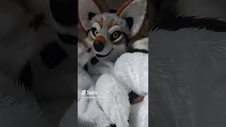 Zacharygraywolf Myfurrysuit Myfurrysuitmasoct Myfurrysuitbelly Vore Burp