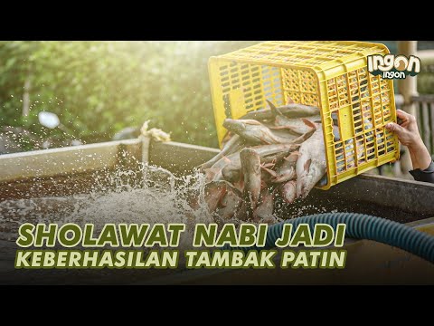 Cara Membibit Ikan Patin