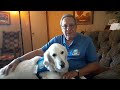 Comfort Dog Eddie brings solace to people struggling, grieving across the country