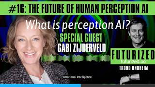 What is perception AI?