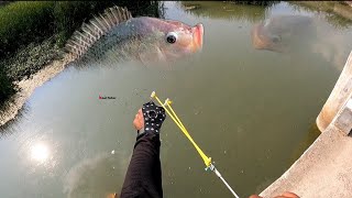 गुलेल से मछली पर सटीक निशाना।🐠 slingshot fish hunting //Aim accurately at the fish with a slingshot.