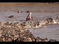  First to the River: The Great Migration at Angama Mara