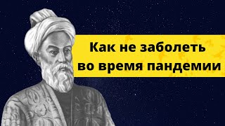 Авиценна (Ибн Сина) об эпидемиях. Как выжить в период пандемии? Как лечить вирусы и болезни?