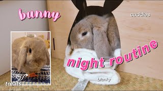Bunny Night Routine
