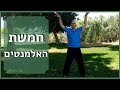 צ י קונג 5 האלמנטים I הקלה על מתח דאגה וחרדה צ י קונג 5 האלמנטים I הקלה על מתח דאגה וחרדה