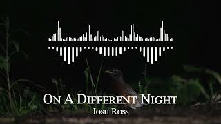 Josh Ross - On A Different Night