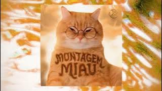 MONTAGEM MIAU (Slowed To Perfection)