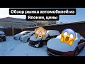 Обзор модельного ряда и цен на автомобили из Японии. 20 февраля 2022 г.