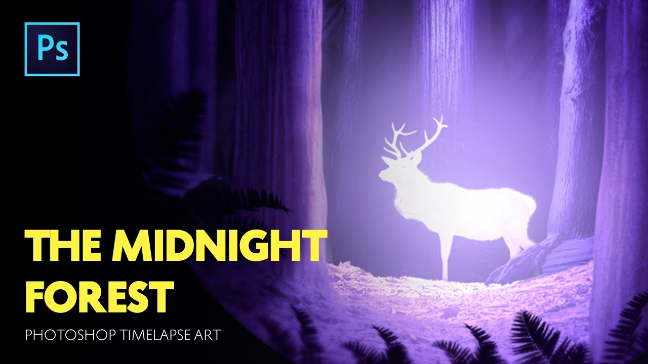 The Midnight Forest | Photoshop Manipulation Timelapse
